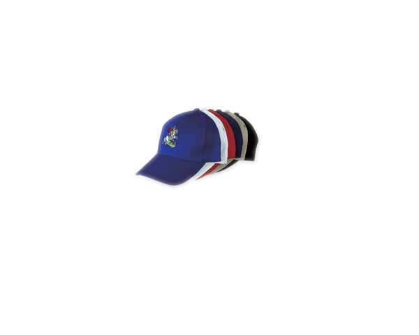 WKGL1003  6 Panel Cap