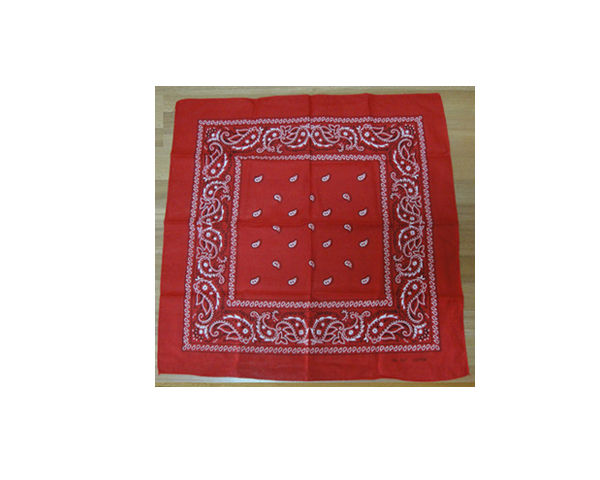 WKGL1204   Bandana / Foulard / Pirate hat
