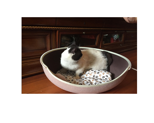 WKGL5003  Pet house Egg shape