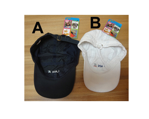 WKGL1040  Cap