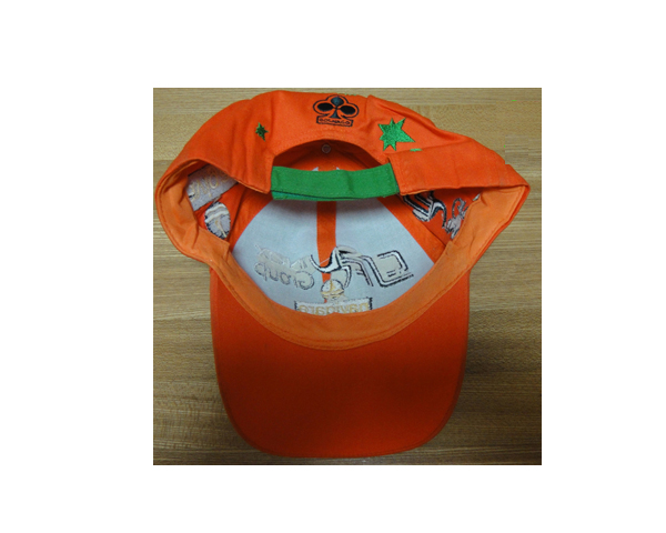 WKGL1054  6 Panel cap