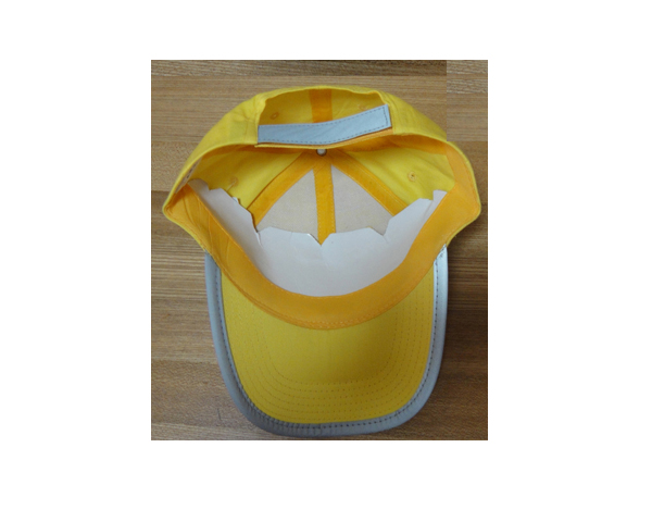 WKGL1068  6 Panel cap