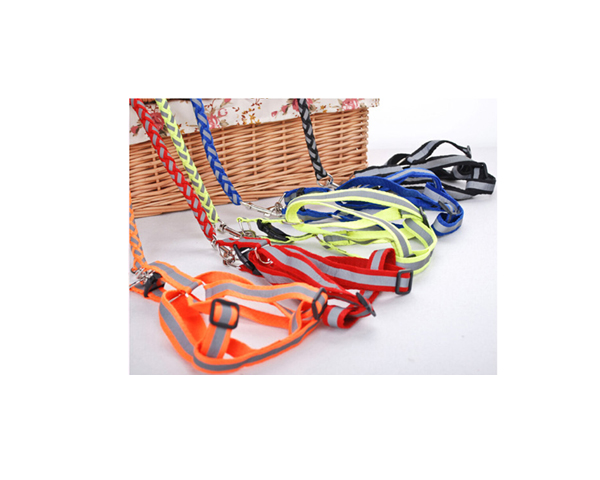 WKGL5001   Dog Collar & Leashes.
