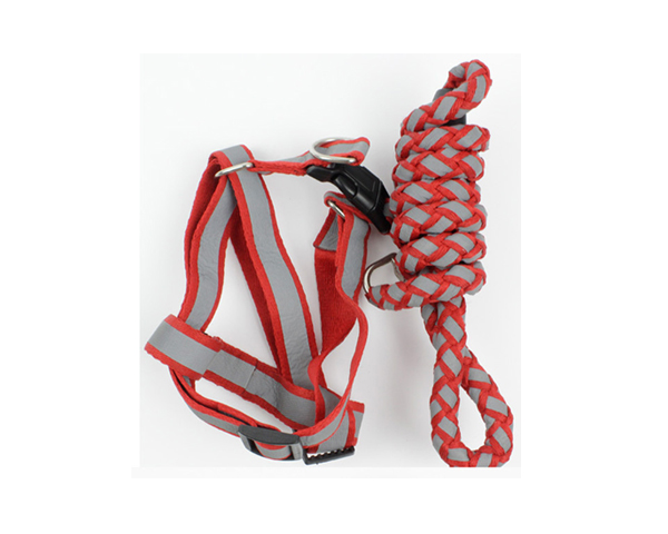 WKGL5001   Dog Collar & Leashes.