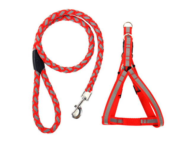 WKGL5001   Dog Collar & Leashes.
