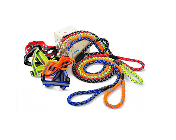 WKGL5001   Dog Collar & Leashes.