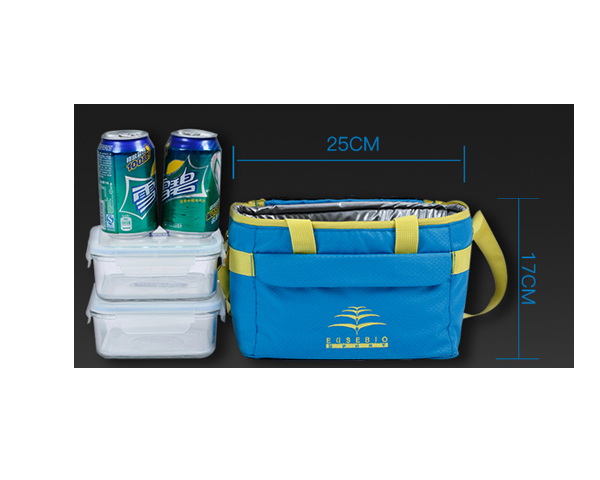 WKGL2401  Coller bag.