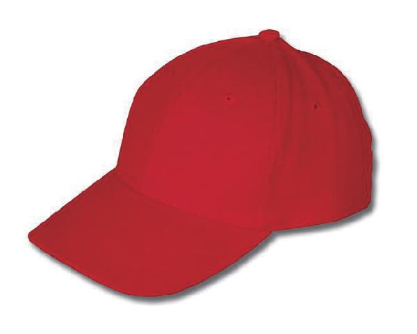 WKGL1007 6 Panel cap