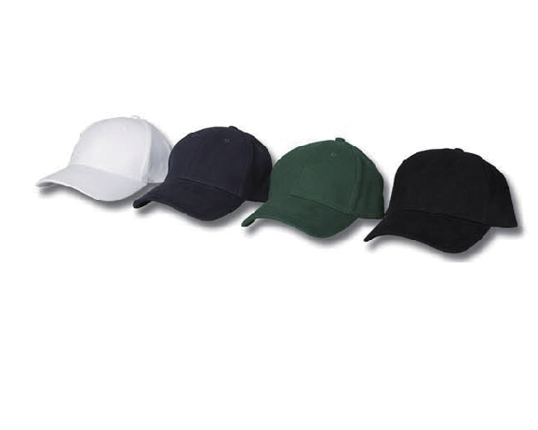 WKGL1007 6 Panel cap