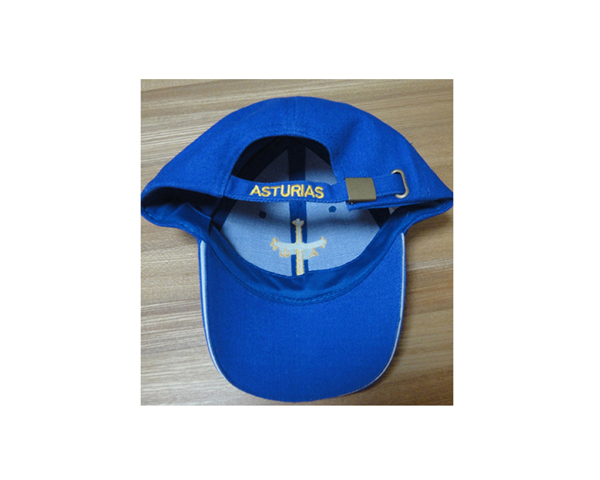 WKGL1021  6 Panel cap