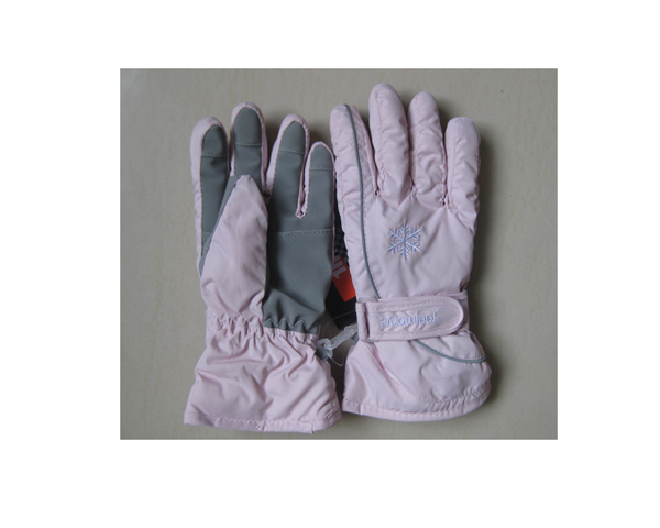 WKGL0010   Ski gloves