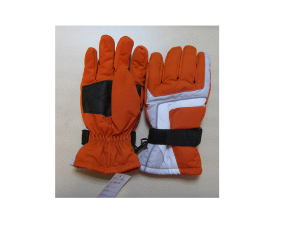 WKGL0010   Ski gloves