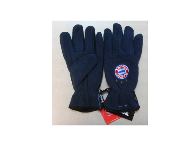 WKGL0010   Ski gloves