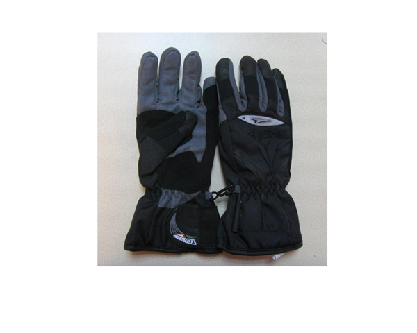 WKGL0010   Ski gloves