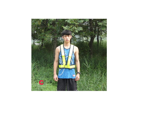 WKGL8301  Safety vest