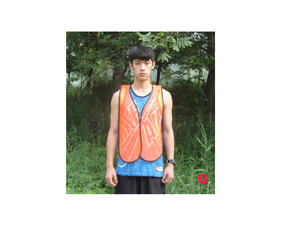 WKGL8301  Safety vest