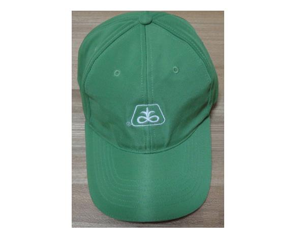 WKGL1045  6 Panel cap
