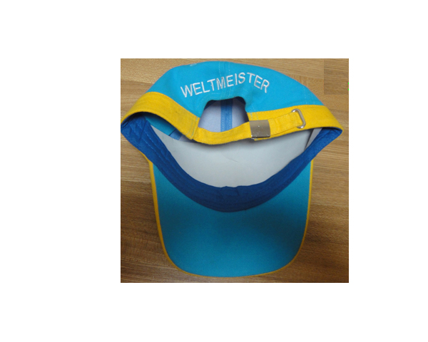 WKGL1056  6 Panel cap