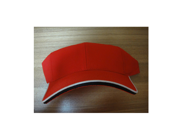 WKGL1010  Sun visor