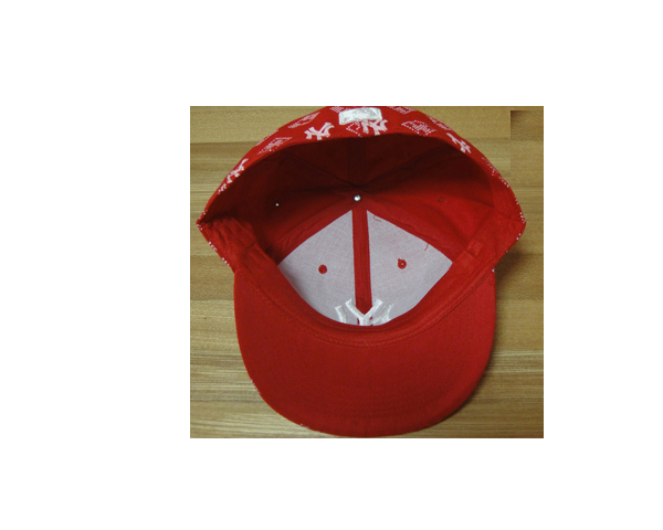WKGL1069   6 Panel cap