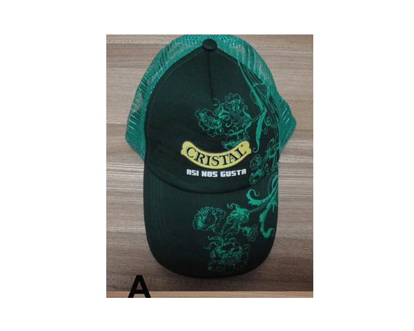 WKGL1602   5 & 6 Panel cap.