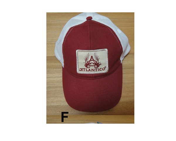 WKGL1602   5 & 6 Panel cap.