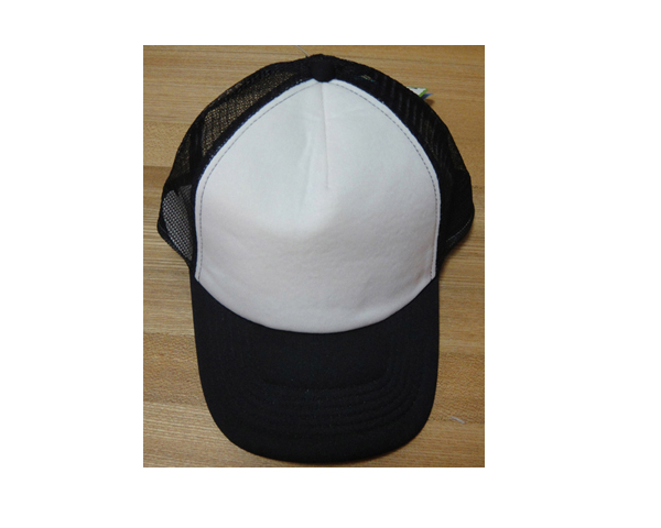 WKGL1602   5 & 6 Panel cap.