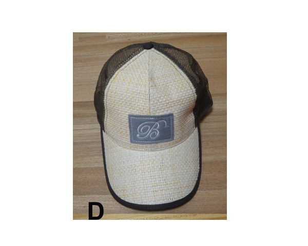 WKGL1602   5 & 6 Panel cap.