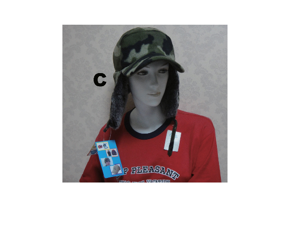 WKGL1403   Winter cap