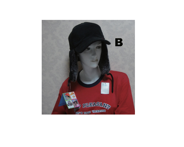 WKGL1403   Winter cap