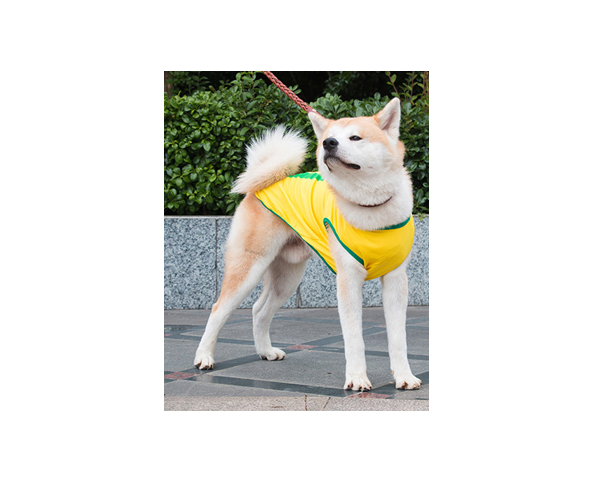 WKGL5002   Dog Protect & Safety Vest.