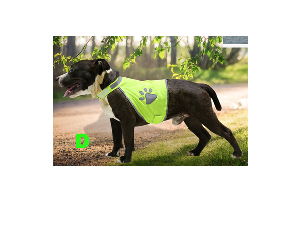 WKGL5002   Dog Protect & Safety Vest.